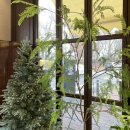 대화로52번길 | 판교 브런치 맛집 추천 스테이크까지 제대로 즐긴 체르또 후기