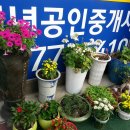 중앙여인숙 이미지