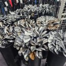 프렌드샾 이미지