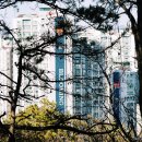 산행길 이미지