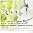 잠언디자인