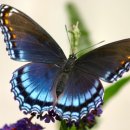 더브레인한의원 이미지