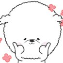 워킹포드림 이미지