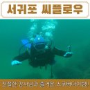 탐나는 보목 | 제주도스쿠버다이빙체험 씨플로우 섶섬 보트 펀다이빙 체험 후기