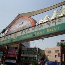 자갈치시장 이미지