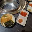 송고집
