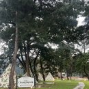 청명 더스위트 | [괴산여행] 충청도 신상호텔 청명호텔 펫룸&amp;시그니처 자쿠지룸 후기