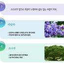 석보중학교 이미지