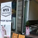 라이프커피컴퍼니 이미지