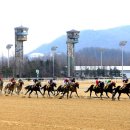 경마공원 이미지