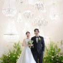 대구 본식스냅 윤이난다 &amp; 본식DVD 멜팅필름 당일 계약 탕탕