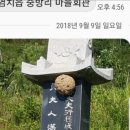 금잔디수선