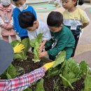 경포유치원 이미지