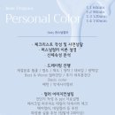 비다무드