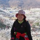 고운경 이미지