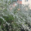 찌꼬뽀꼬 연남점 이미지