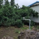 덕송부동산중개사무소 이미지