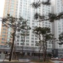 모현동-21 이미지