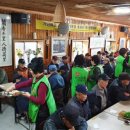 분도와안나개미꽃동산 이미지