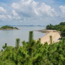 아일랜드 이미지