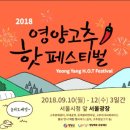 영양고추 H.O.T 페스티벌 2018 이미지