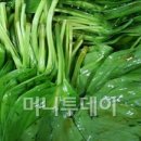 김승환 농장 이미지