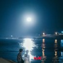 갯마을에 대하여 이미지