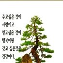 행복한하루