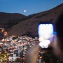 CW-1976-01 이미지