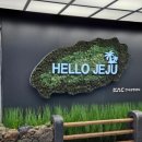제주도 동쪽 여행 후기(+제주동문시장과 곱은달 사진관, 오설록)
