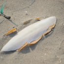 삼봉환경 이미지