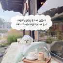 가평애견동반한옥카페 고요재 버터스카치와 바닐라빈라떼 후기