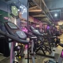 세렌디 피티 짐 이미지