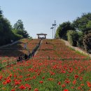 장미회집 이미지