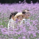 버들어린이집 이미지