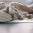 신현동물병원 이미지