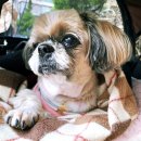 봉도농장 이미지