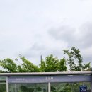 오설록 교차로 이미지