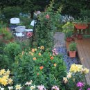 나의 정원 이미지