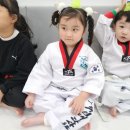 용인대 꿈나무 태권도 이미지