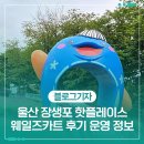 울산 장생포 핫플레이스 웨일즈카트 후기 운영 정보