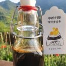 수아네 농장 이미지