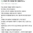 지에스(GS)25 망원하늘점 이미지