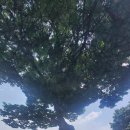 구 강경침례교회 최초예배지 이미지