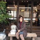 건강기능식품점 이미지