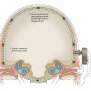 이편한보청기 이미지