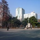 신 천 이미지
