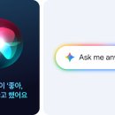 그라디언트 티스토리