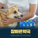 추자약국 이미지