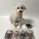 멍이부뚜막 | 강아지수제간식 [멍이부뚜막] 강아지간식추천!